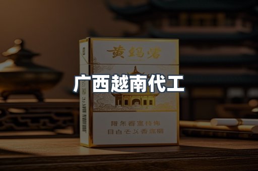 广西越南代工